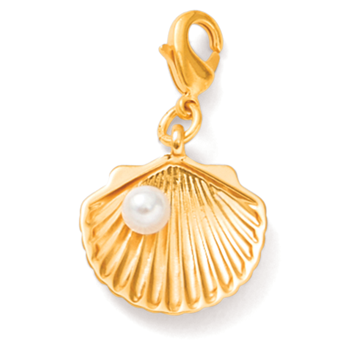 Gold Seashell