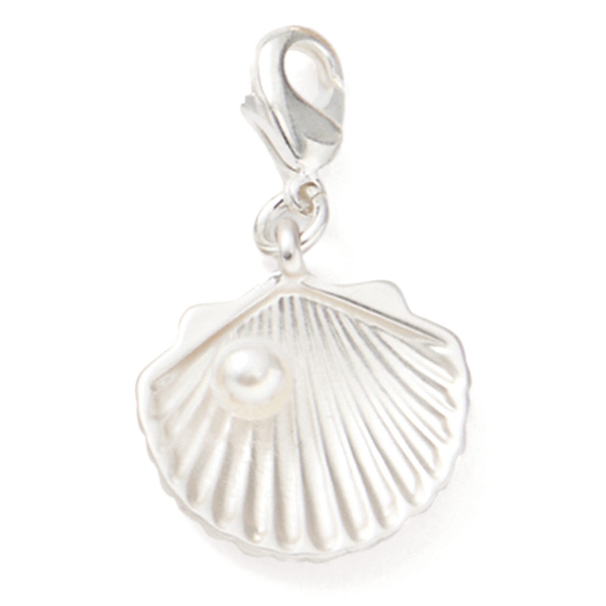 Silver Seashell