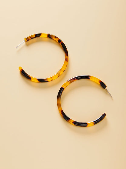 Tortoise Hoops - John Wind Maximal Art