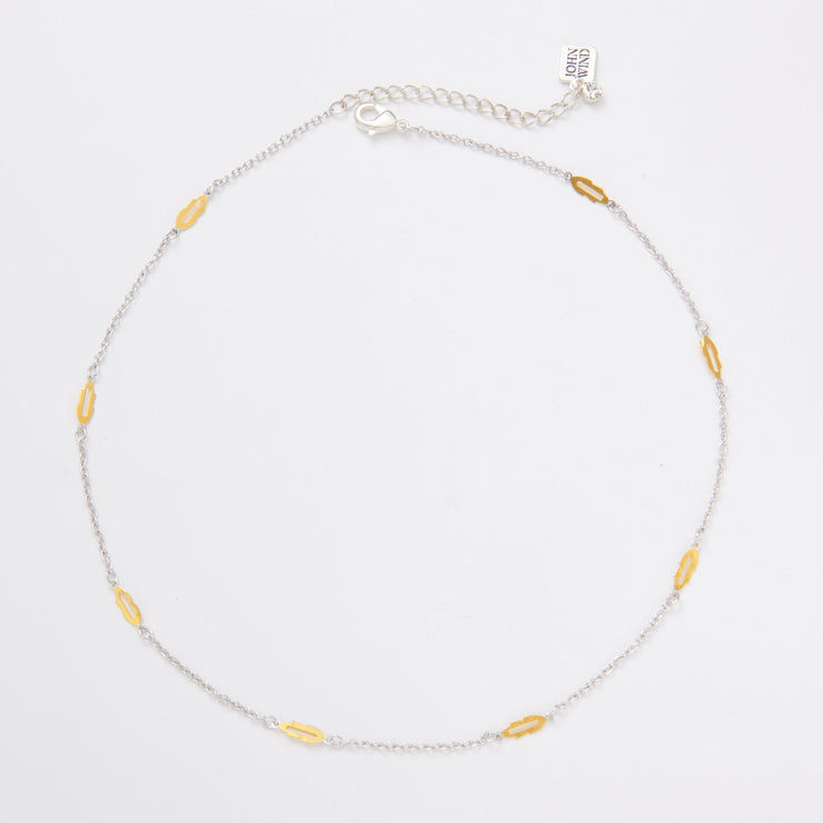 Meridian Petite Station Two Tone Necklace